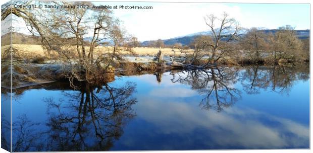 Serene Scenery at Loch Tay Canvas Print by Sandy Young
