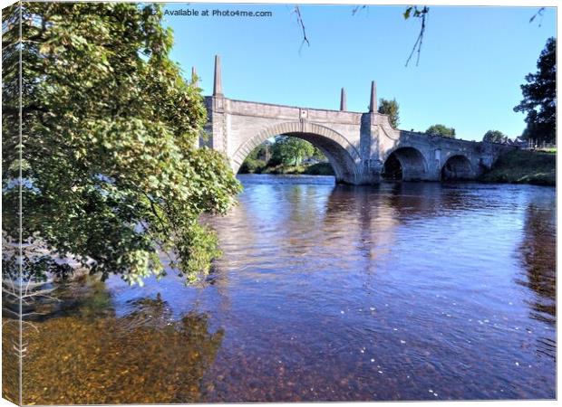 Majestic Wades Bridge Over River Tay Canvas Print by Sandy Young
