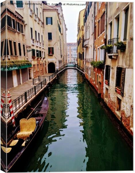 Venice Canvas Print by Sandy Young