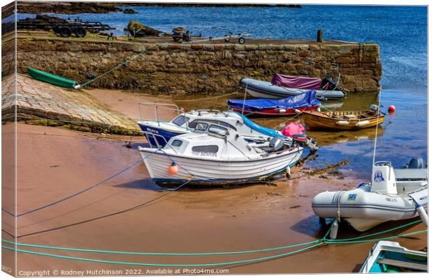 Tranquil Boats in Sheltered Harbour Canvas Print by Rodney Hutchinson