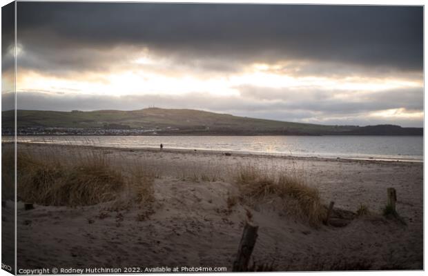 Winter evening light Canvas Print by Rodney Hutchinson