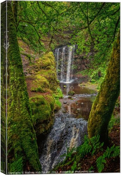 A waterfall in a forest Canvas Print by Rodney Hutchinson