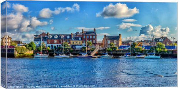 Ayr Marina Canvas Print by Rodney Hutchinson