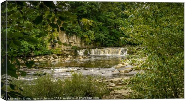 Majestic River Swale Waterfalls Canvas Print by Rodney Hutchinson
