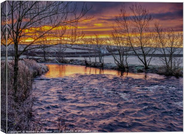 Majestic Winter Sunrise Canvas Print by Rodney Hutchinson