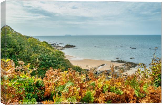 Ayrshire Coast Canvas Print by Rodney Hutchinson