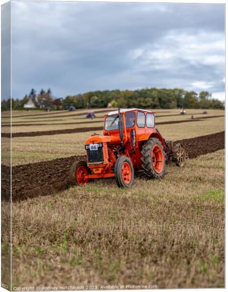 Vintage tractor ploughing Canvas Print by Rodney Hutchinson