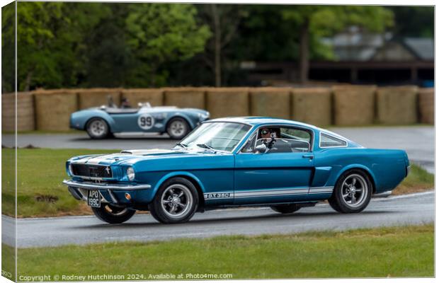 Ford Mustang GT350 Canvas Print by Rodney Hutchinson