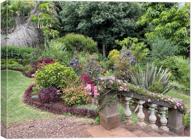 Blandy's gardens Madeira Canvas Print by Joyce Hird