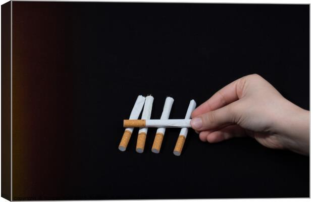 Hand is holding crossed cigarettes on black background Canvas Print by Turgay Koca