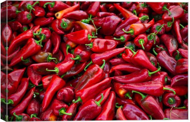 A Lot of Red Peppers as food background Canvas Print by Turgay Koca