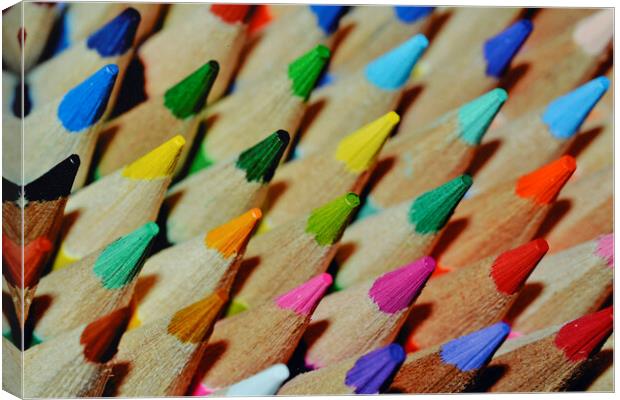 Coloured pencils  Canvas Print by Stuart Jenner