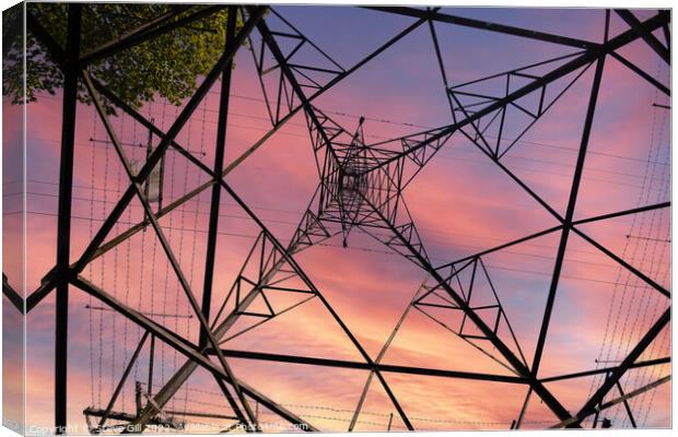 View from  Underneath an Electricity Pylon at Suns Canvas Print by Steve Gill