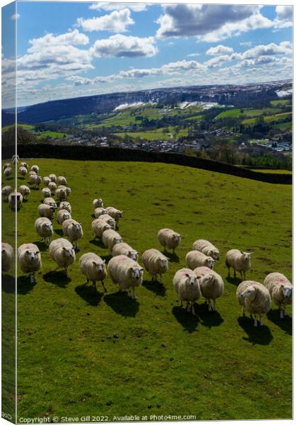 Herd of Sheep in a Field with Snow Covered Hills Near Harrogate. Canvas Print by Steve Gill