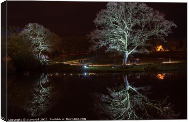 White Floodlit Trees Reflecting on a Lake. Canvas Print by Steve Gill