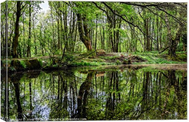 Reflections of Leafy Trees on a Tranquil Rural Pond. Canvas Print by Steve Gill