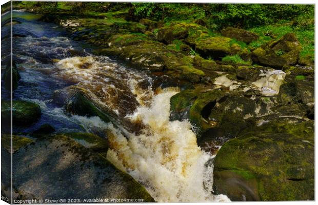 The Circular Walk from Bolton Abbey Passes the Narrow, Fast-flowing Strid, Surrounded by Large Mossy Rocks. Canvas Print by Steve Gill