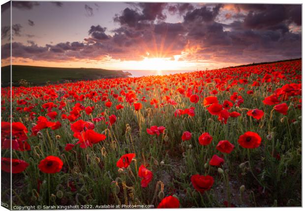 West Pentire Poppies Canvas Print by Sarah Kingshott