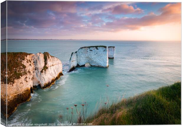 Old Harry Sunrise Canvas Print by Sarah Kingshott