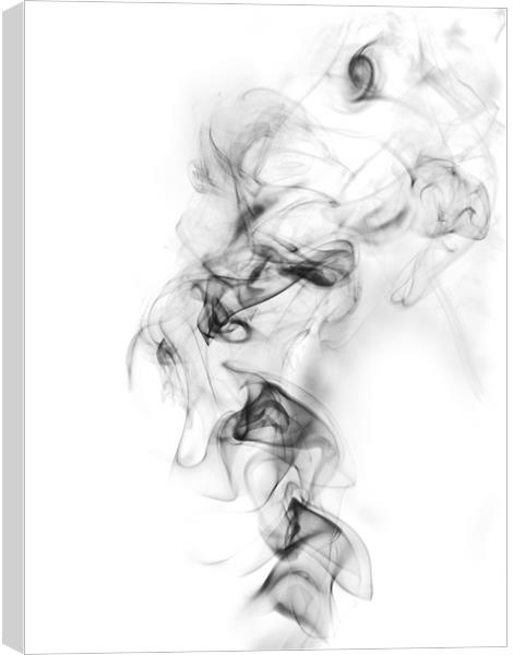 Smoke 2 Canvas Print by Alex Horton-Howe