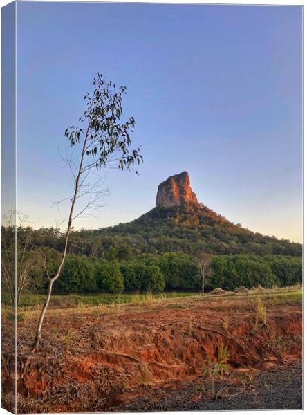 Mount Coonowrin Glass House Mountains Qld Canvas Print by Julie Gresty