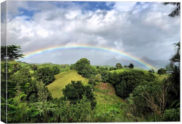 Rainbow over Mount Warning  Canvas Print by Julie Gresty