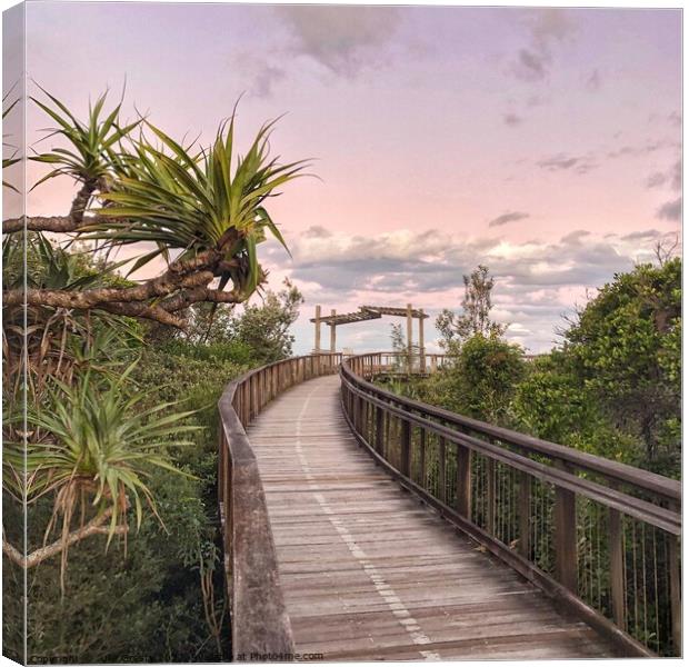 Boardwalk to Coolum Lookout at Sunset Canvas Print by Julie Gresty