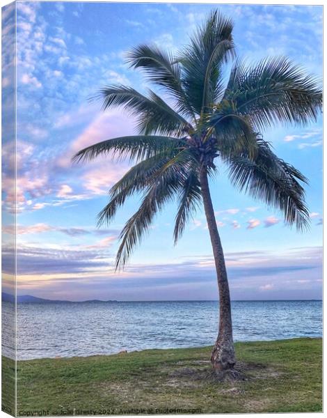Palm Tree and Rainbow Sunset Canvas Print by Julie Gresty