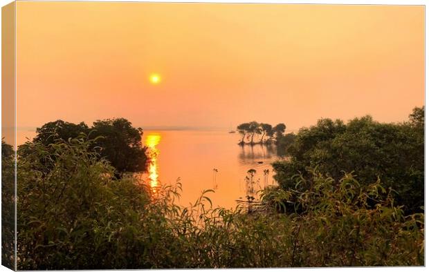 Golden Sunset over the Mangroves Canvas Print by Julie Gresty