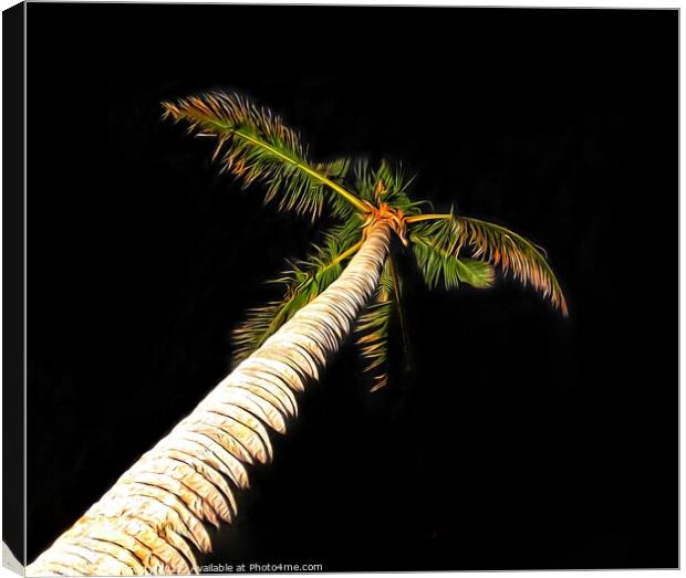 Palm Tree on Black Background Canvas Print by Julie Gresty