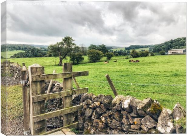 Yorkshire Dales Farm Gate and Drystone Wall Canvas Print by Julie Gresty