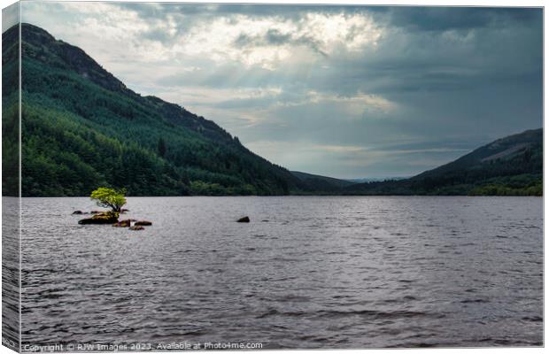Rooted Solitude on Loch Eck Canvas Print by RJW Images