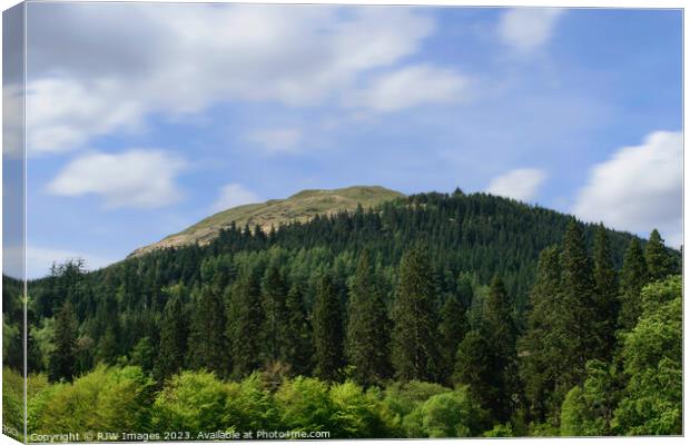 Benmore Mountain Forest Canvas Print by RJW Images