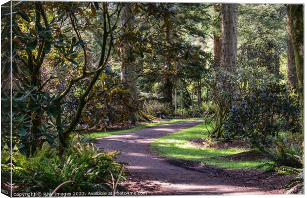 benmore botanical gardens Canvas Print by RJW Images