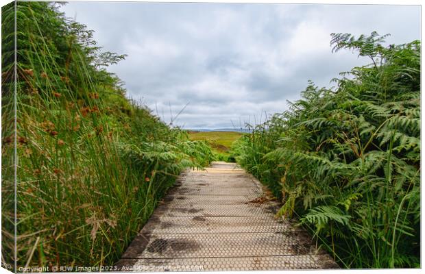 Cornalees Nature Trail Board Walk Canvas Print by RJW Images