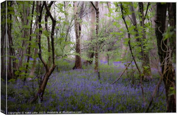 Enchanting Bluebell Woodland Canvas Print by Kate Lake