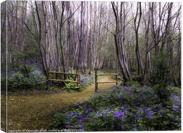 Bluebell Pathway, Scathes Wood, Kent Canvas Print by Kate Lake