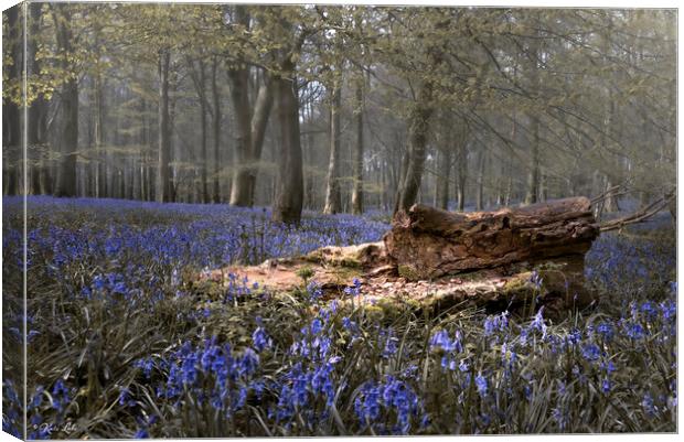 Bluebells and Fallen Tree Trunk Canvas Print by Kate Lake