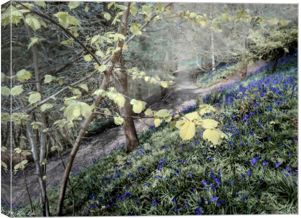 Beech Leaves and Bluebells Canvas Print by Kate Lake