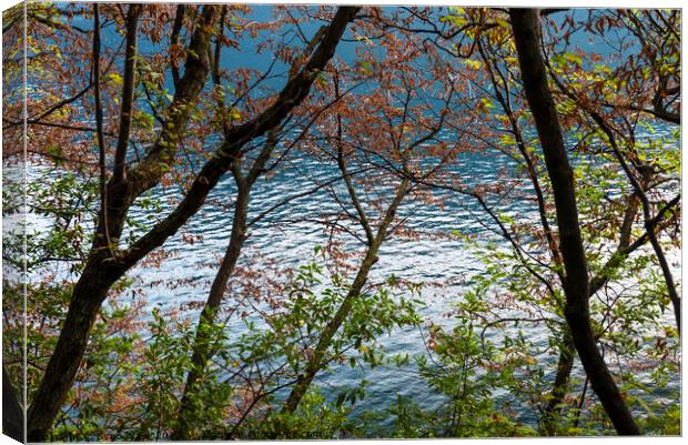 Trees against the lake Canvas Print by Simo Wave