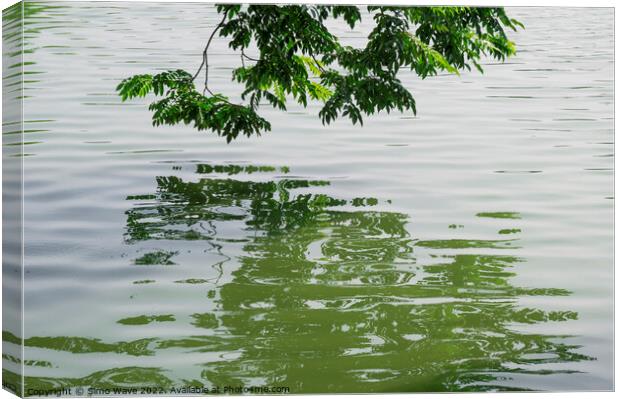 Green tree on the water Canvas Print by Simo Wave