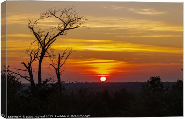 Sunset over Kruger Canvas Print by David Aspinall