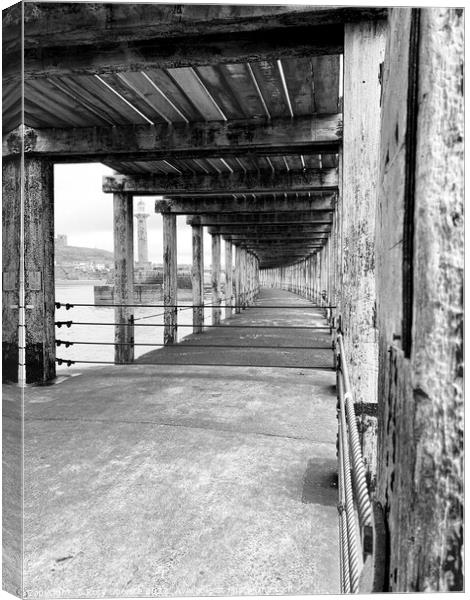 Under the pier Canvas Print by Rory Spence