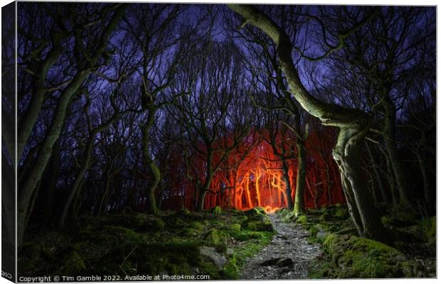 Fantasy Woodland Scene Canvas Print by Tim Gamble