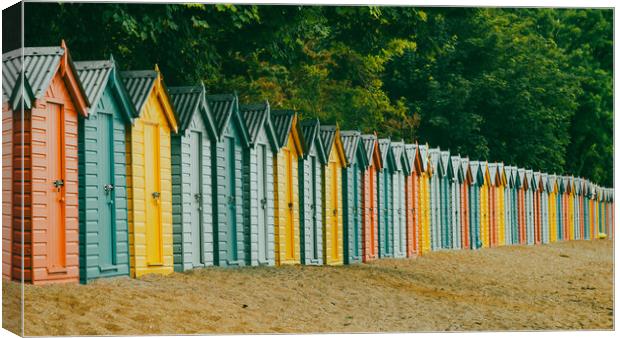 Llanbedrog beach hut vista Canvas Print by Tim Gamble