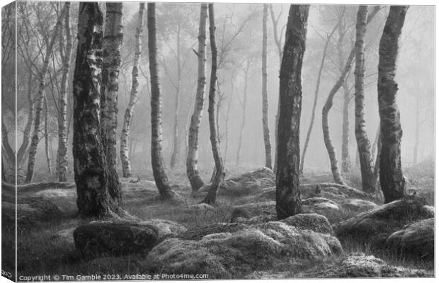 Black and White misty woodland scene Canvas Print by Tim Gamble