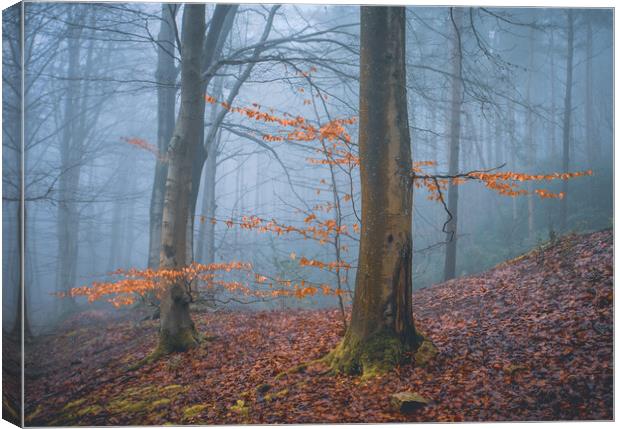 Woodland Misty Scene Canvas Print by Tim Gamble