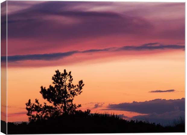 Norfolk Sunset - 3 Canvas Print by Roman Czajkowski