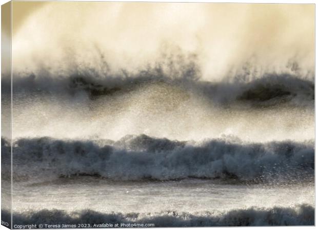 Waves with spray  Canvas Print by Teresa James