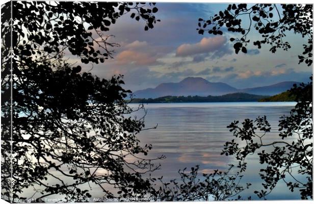 View of the ben from loch lomond  Canvas Print by Teresa James